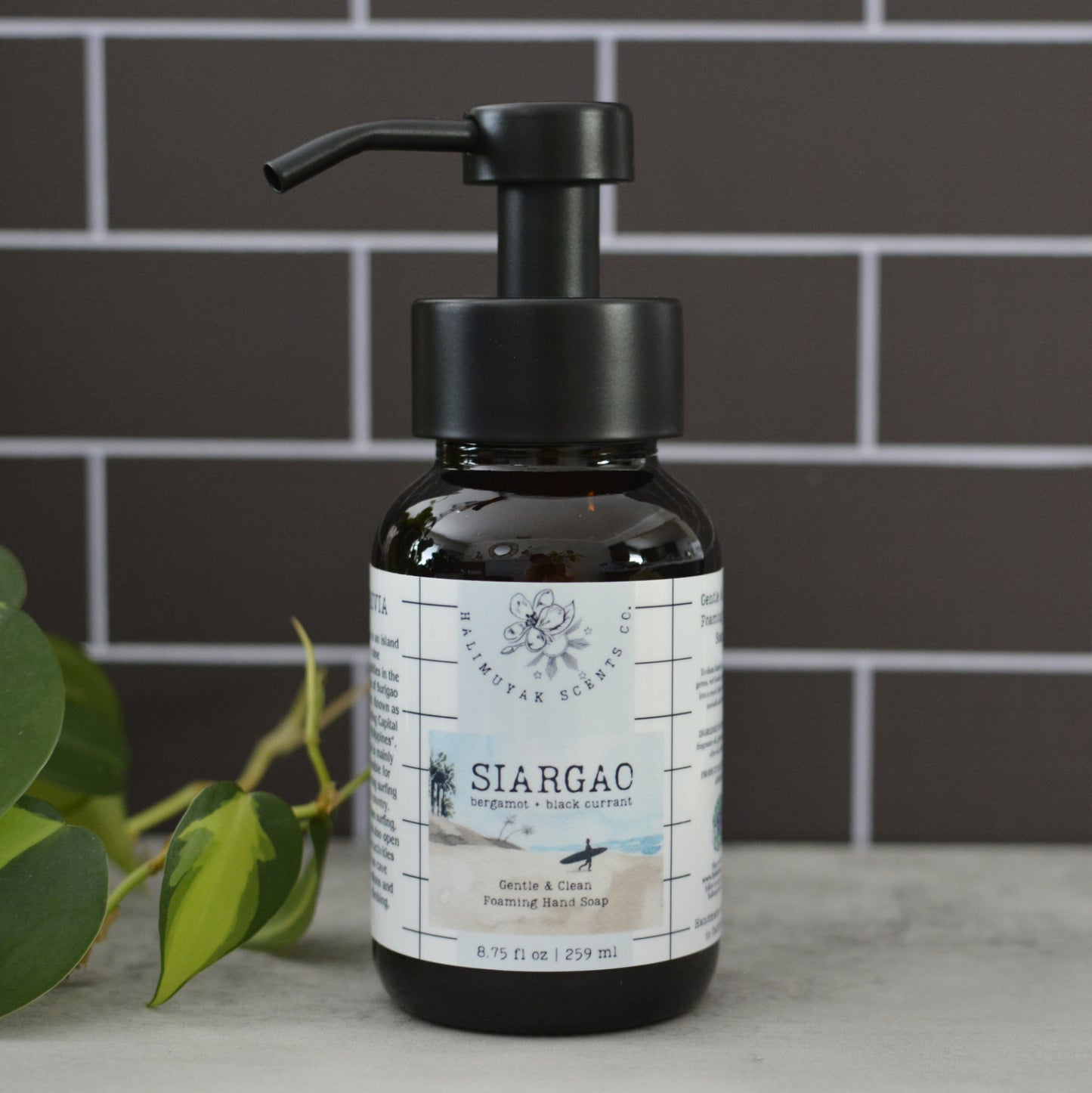 Foaming Hand Soap